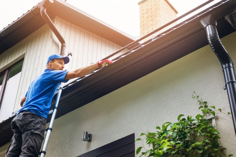 Professional Gutter Maintenance